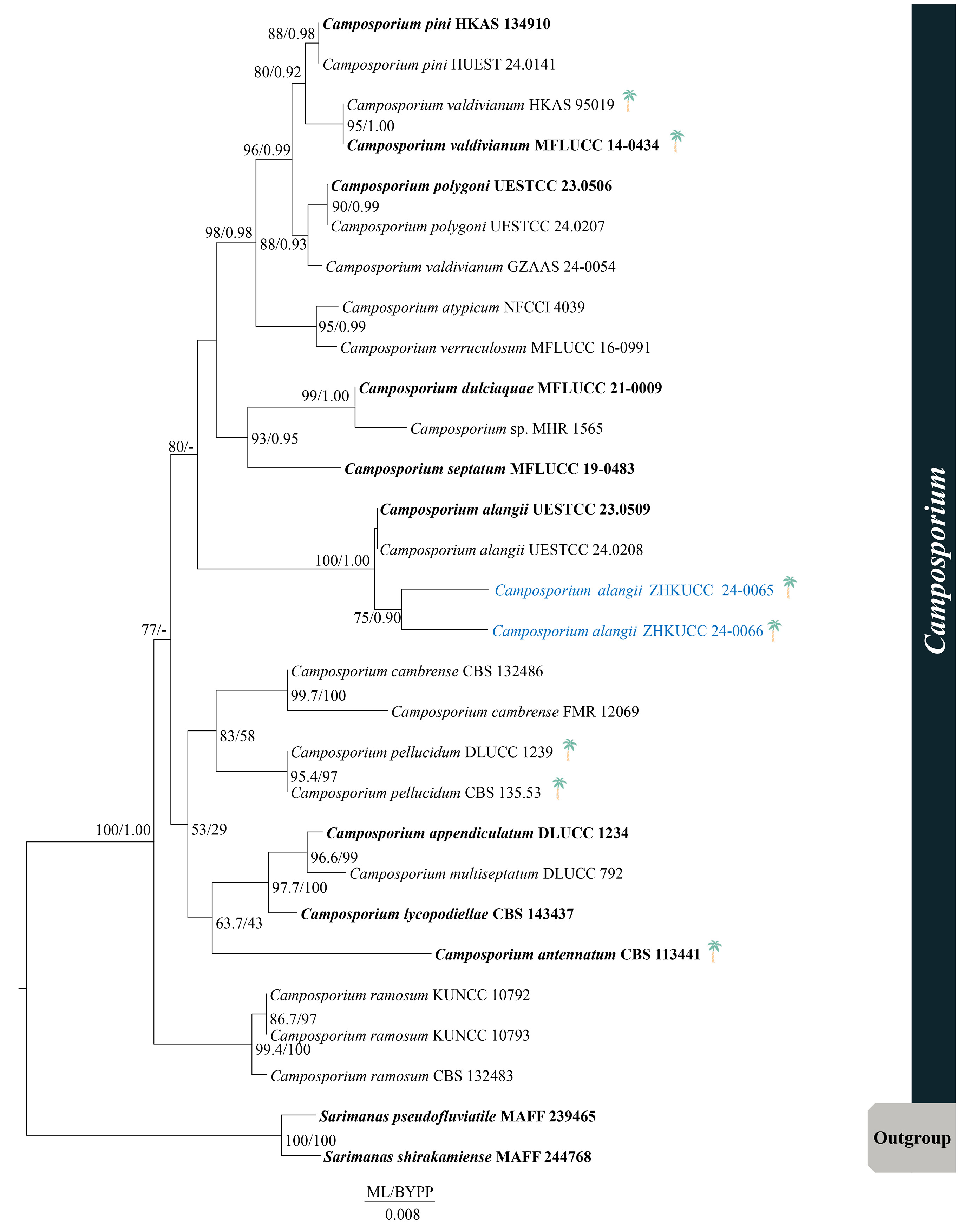 Figure 36
